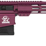 Great Lakes Firearms GL10308SSCHY GLFA 308 Win 10+1 18" AR-10 Stainless Steel Black Cherry 1 171461