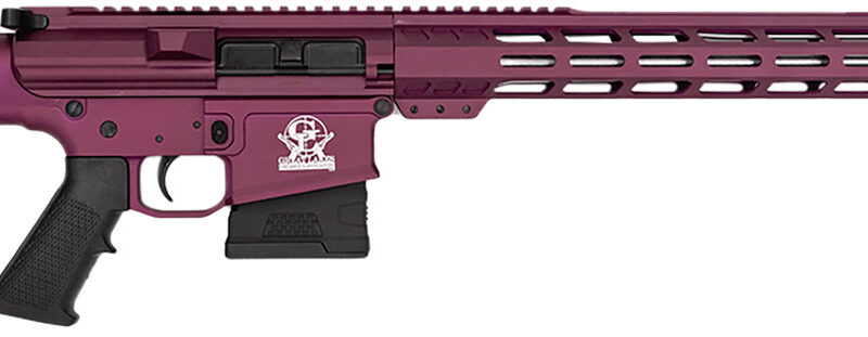 Great Lakes Firearms GL10308SSCHY GLFA  308 Win 10+1 18" AR-10 Stainless Steel Black Cherry