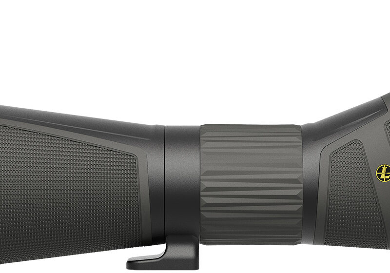 Leupold 185679 SX-4 Pro Guide HD G2 Angled Body 20-60x 85mm Black