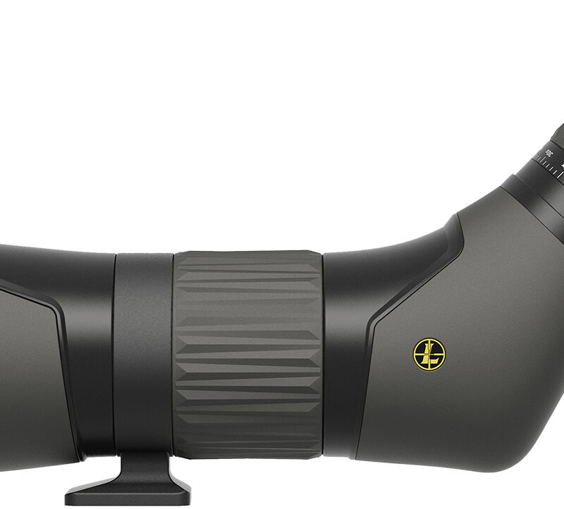 Leupold 185683 SX-2 Alpine HD Angled Body 20-60x 60mm Black
