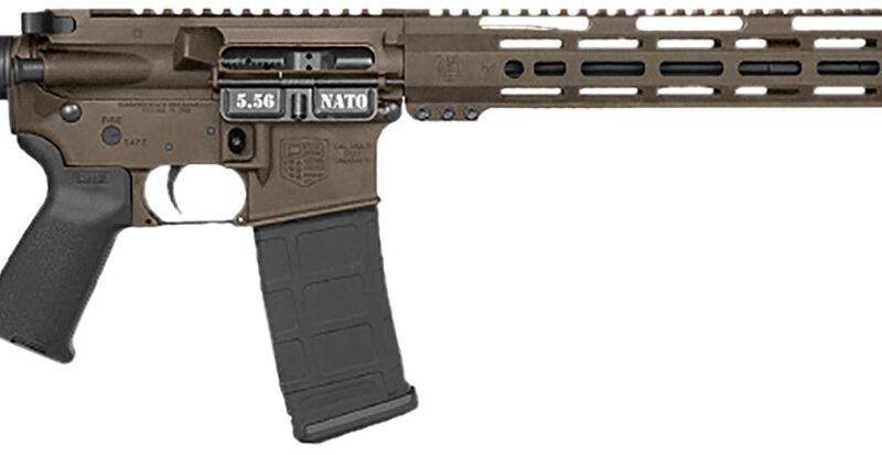 Diamondback DB1718K071 DB15 Carbon Series 5.56 NATO 30+1 16" Black Nitride Threaded Barrel, Midnight Bronze Cerakote Picatinny Rail Aluminum Receiver, Adjustable Black Synthetic Stock, Magpul MOE Grip