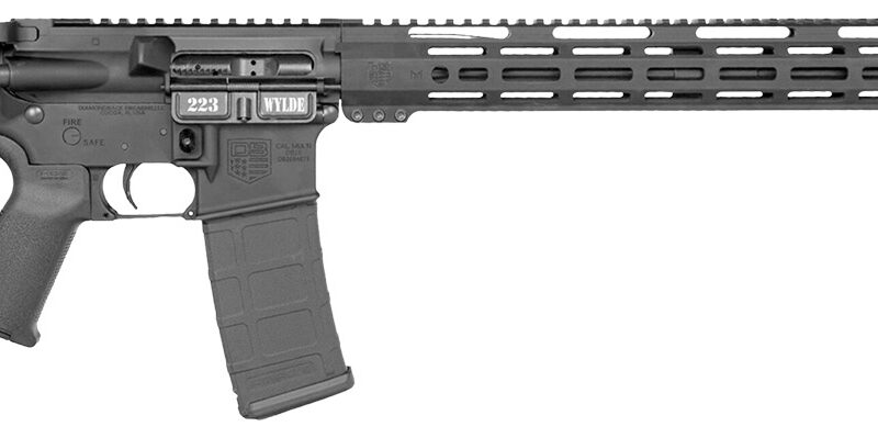 Diamondback DB1720H002 DB15  223 Wylde 30+1 18" Black Cerakote Picatinny Rail Aluminum Receiver, Black Synthetic Stock