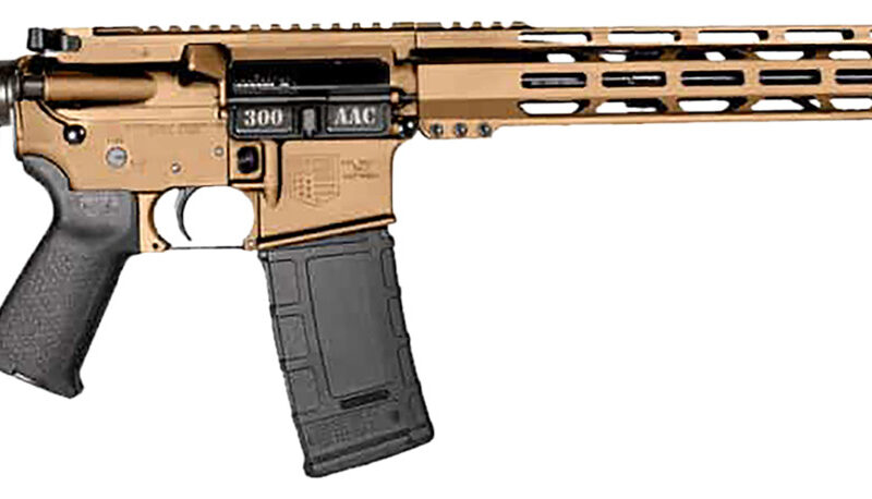 Diamondback DB1718B042 DB15  300 Blackout 30+1 Burnt Bronze Cerakote Picatinny Rail Aluminum Receiver, Black Synthetic Stock
