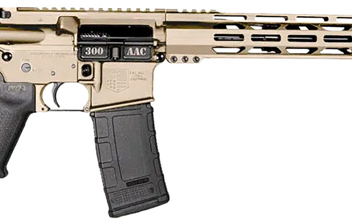 Diamondback DB1718B062 DB15  300 Blackout 30+1 Flat Dark Earth Cerakote Picatinny Rail Aluminum Receiver, Black Synthetic Stock