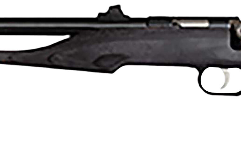 Crickett 41003 Hunter Adult 22 Mag 1rd 9" Threaded Blued Steel Single Shot Barrel, Black Laminate Stock