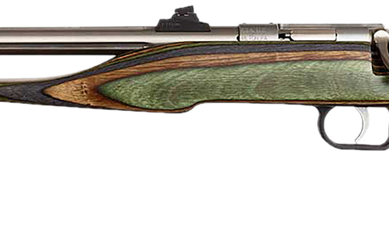 Chipmunk 41105 Hunter Adult 22 Mag 1rd 9" Threaded Stainless Steel Single Shot Barrel, Camo Laminate Stock