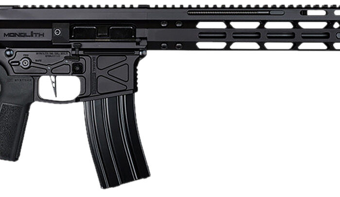 Global Ordnance LLC 197892003223 Monolithic  5.56 NATO 16" Barrel, M-LOK Handguard, Modular Black Stock, Black Polymer Grip