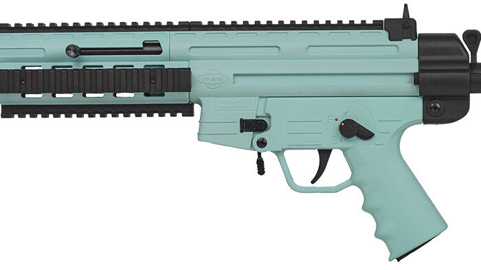 GER GGSG1610M     GSG-16 22LR     16.25 10R    MNT