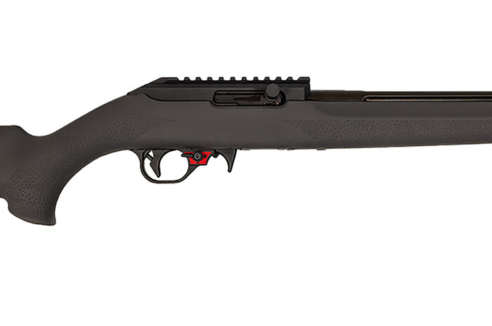 Franklin Armory 0210000GRY F22  22 LR 16" Black Heavy Fluted Threaded Barrel, Picatinny Rail Receiver, Gray Hogue OverMolded Synthetic Stock