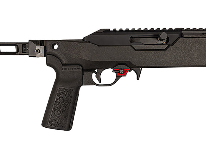 FRNKLN 02-30000-BLK F22 BINARY PSTL 22LR 8" BRACE