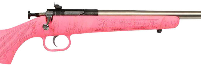 Crickett KSA2441 Gen2  Youth 22 LR 1rd 16.13" Stainless Single Shot Barrel, Stainless Steel Receiver, Pink w/Gold Webbing Fixed Synthetic Stock