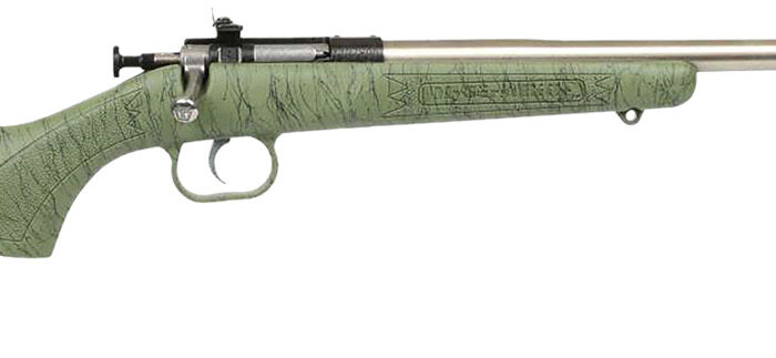 Crickett KSA2442 Gen2  Youth 22 LR 1rd 16.13" Stainless Single Shot Barrel, Stainless Steel Receiver, Green w/Black Webbing Fixed Synthetic Stock