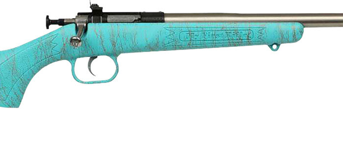 Crickett KSA2446 Gen2  Youth 22 LR 1rd 16.13" Stainless Single Shot Barrel, Stainless Steel Receiver, Blue w/Gold Webbing Fixed Synthetic Stock
