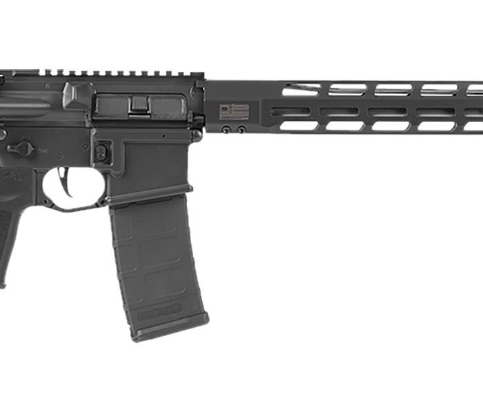 SIG RM40016BTRDV210     M400 556    16    10R BLK