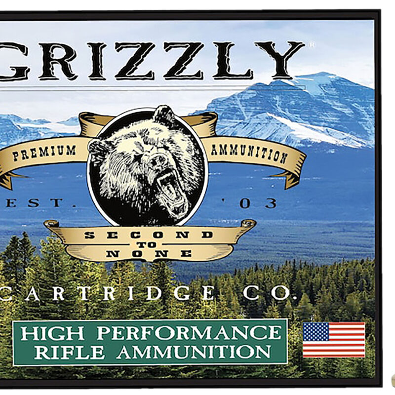 Grizzly Ammo GC45/701   45-70Gov 405gr Round Nose Flat Point 20 Per Box/10 Case