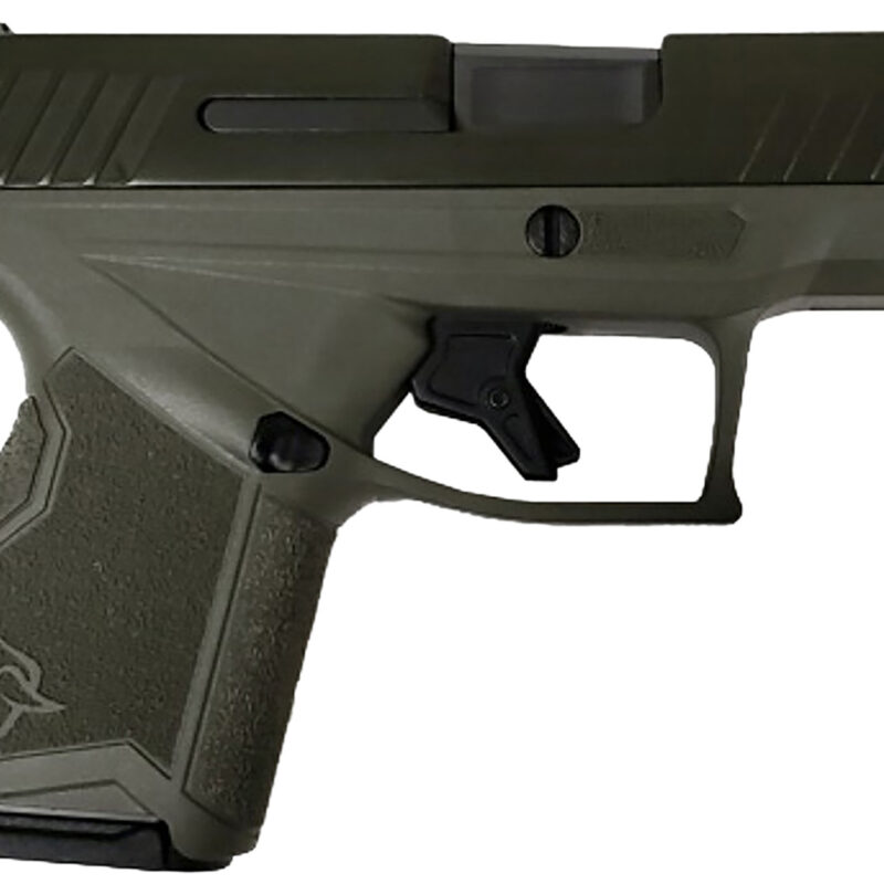 Taurus 1-GX4M93BO GX4  Micro-Compact Frame 11+1 3.06" Alloy Steel Slide