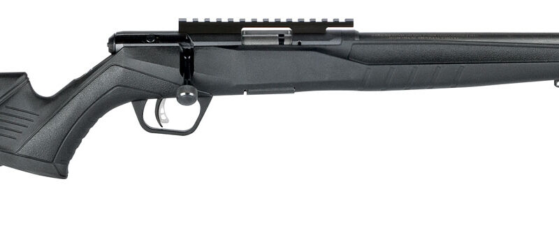 Savage Arms 70503 B Series FV-SR Full Size 22 WMR 10+1 16.25" Matte Black Threaded Barrel, Matte Black Picatinny Rail Carbon Steel Receiver, Matte Black Fixed Synthetic Stock, Right Hand