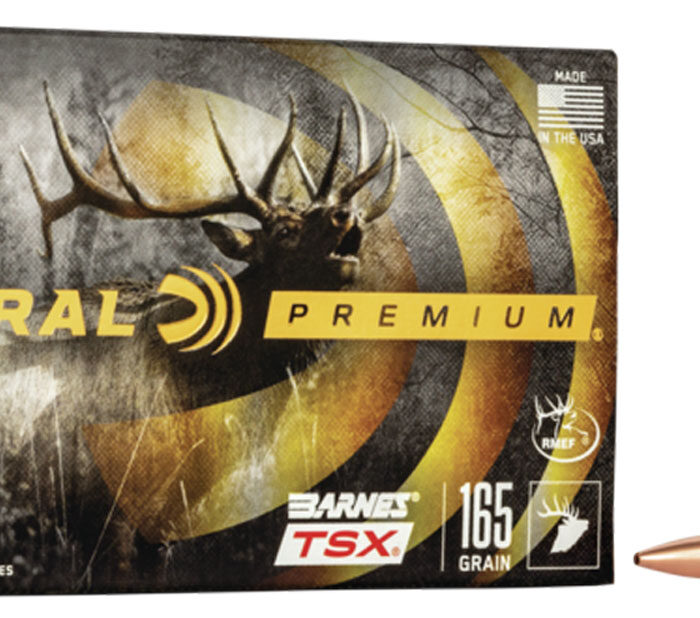 Federal P300WR Premium  300WinMag 165gr Barnes TSX 20 Per Box/10 Case