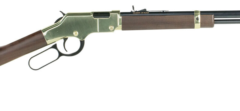 Henry H004 Golden Boy  22 LR Caliber with 16 LR/21 Short Capacity, 20" Octagon Barrel, Brasslite Metal Finish & American Walnut Stock Right Hand