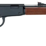 Henry H001V Varmint Express 17 HMR 11+1 19.25" Blued Steel Barrel, Black Steel Receiver, American Walnut Stock Right Hand 2 36780