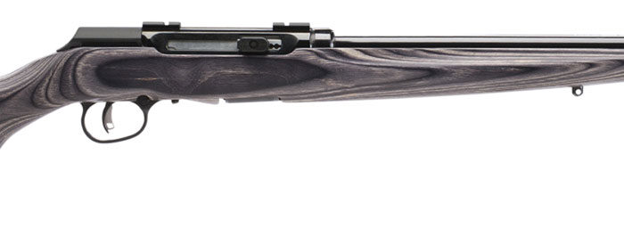 Savage Arms 47006 A17 Target Sporter Full Size 17 HMR 10+1 22" High Luster Heavy Target Barrel, High Luster Drilled & Tapped Carbon Steel Receiver, Satin Gray Fixed Laminate Stock, Right Hand