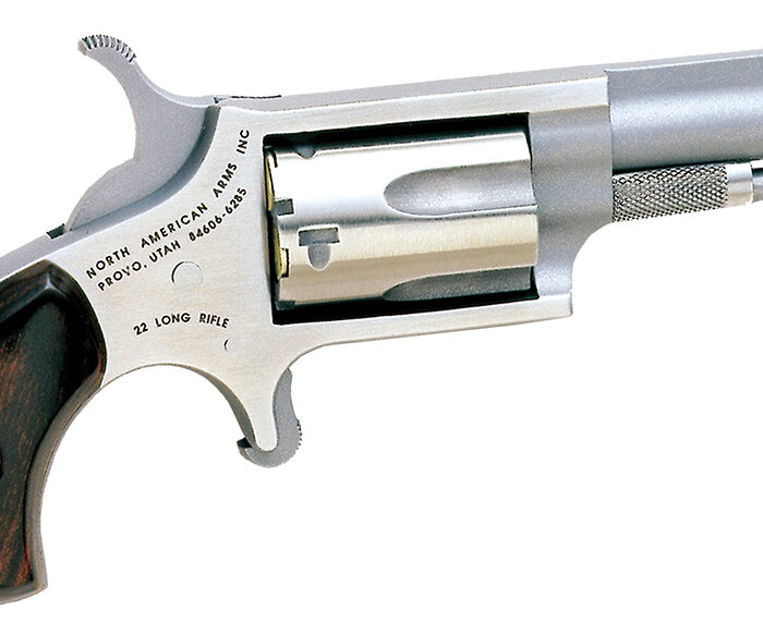 North American Arms 22LLR Mini-Revolver  22 LR 5 Shot 1.63" Barrel, Overall Stainless Steel Finish, Rosewood Birdshead Grip