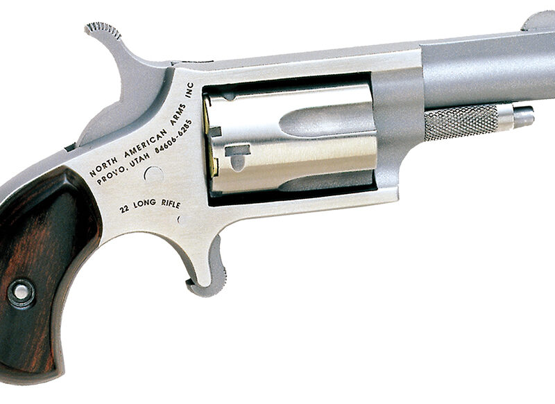 North American Arms 22LLR Mini-Revolver  22 LR 5 Shot 1.63" Barrel, Overall Stainless Steel Finish, Rosewood Birdshead Grip