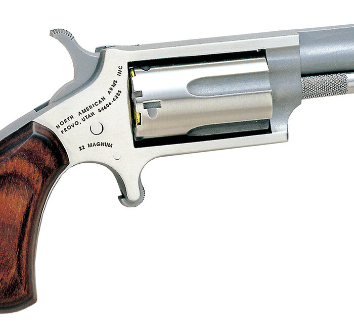 North American Arms 22M Mini-Revolver  22 WMR 5 Shot 1.63" Barrel, Overall Stainless Steel Finish, Rosewood Grip