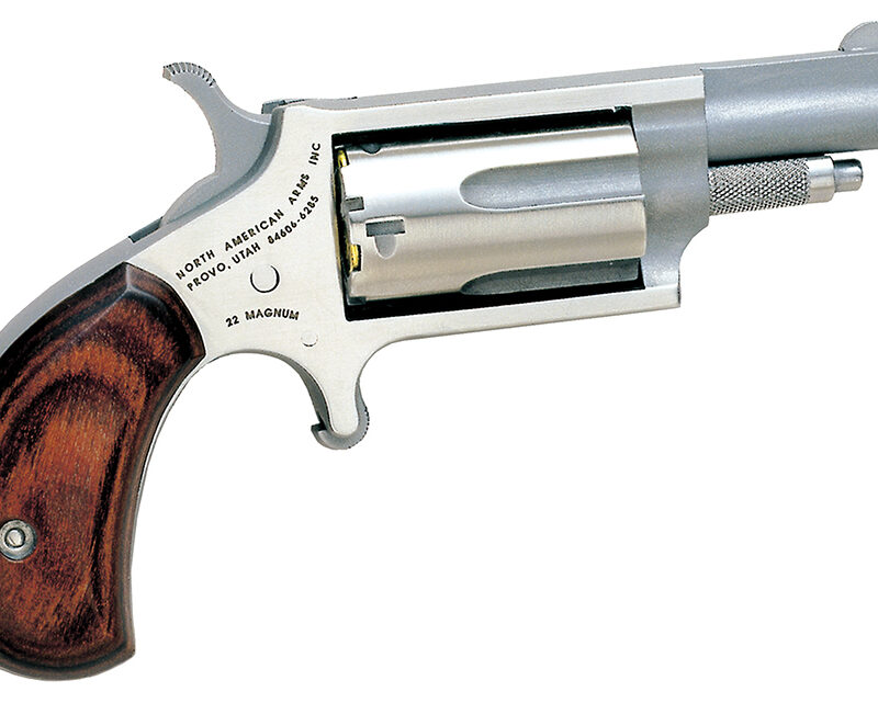 North American Arms 22M Mini-Revolver  22 WMR 5 Shot 1.63" Barrel, Overall Stainless Steel Finish, Rosewood Grip