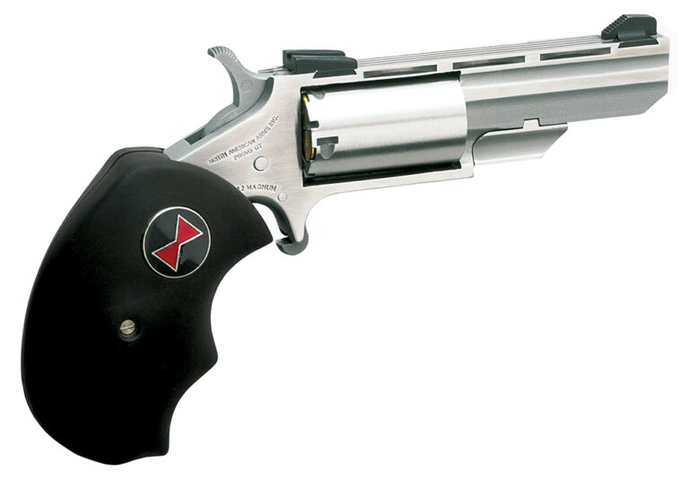 North American Arms BWL Black Widow  22 LR 5 Shot 2" Barrel, Overall Stainless Steel Finish, Finger Grooved Black Rubber Grip, Fixed Sights