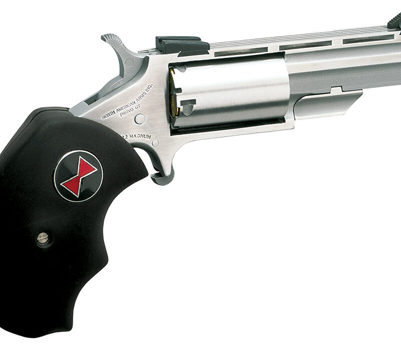 North American Arms BWL Black Widow  22 LR 5 Shot 2" Barrel, Overall Stainless Steel Finish, Finger Grooved Black Rubber Grip, Fixed Sights