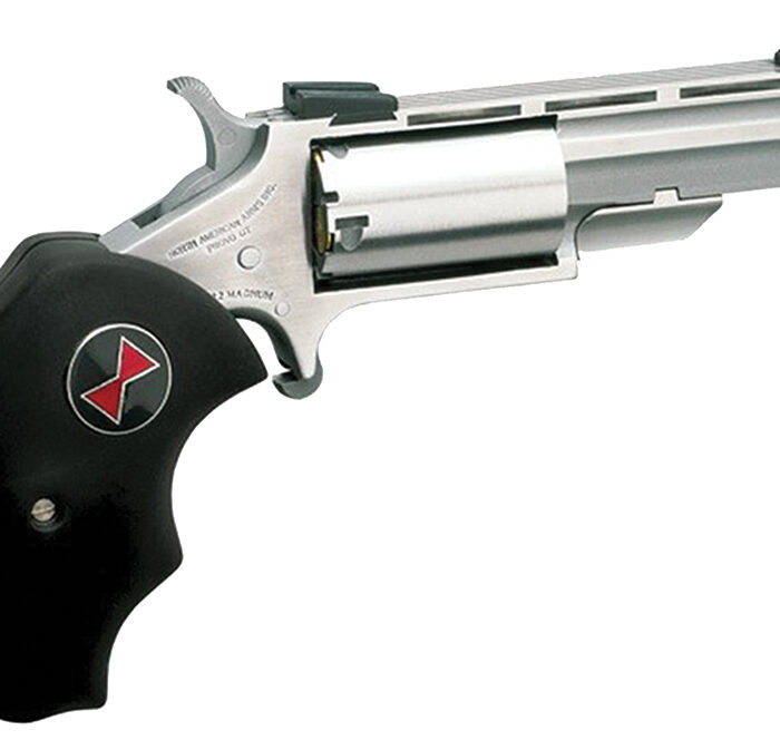 North American Arms BWM Black Widow  22 WMR 5 Shot 2" Barrel, Overall Stainless Steel Finish, Finger Grooved Black Rubber Grip, Fixed Sights