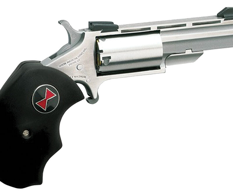 North American Arms BWM Black Widow  22 WMR 5 Shot 2" Barrel, Overall Stainless Steel Finish, Finger Grooved Black Rubber Grip, Fixed Sights
