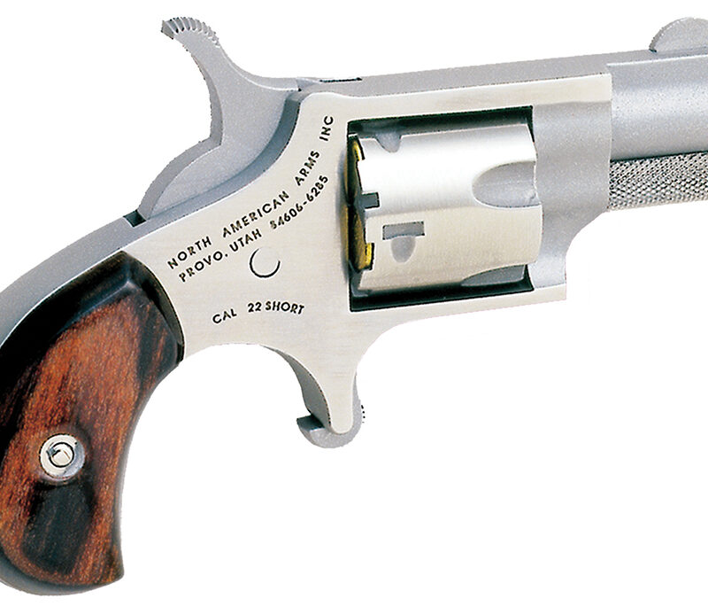 North American Arms 22S Mini-Revolver  22 Short 5rd 1.13" Barrel, Overall Stainless Steel Finish, Rosewood Birdshead Grip