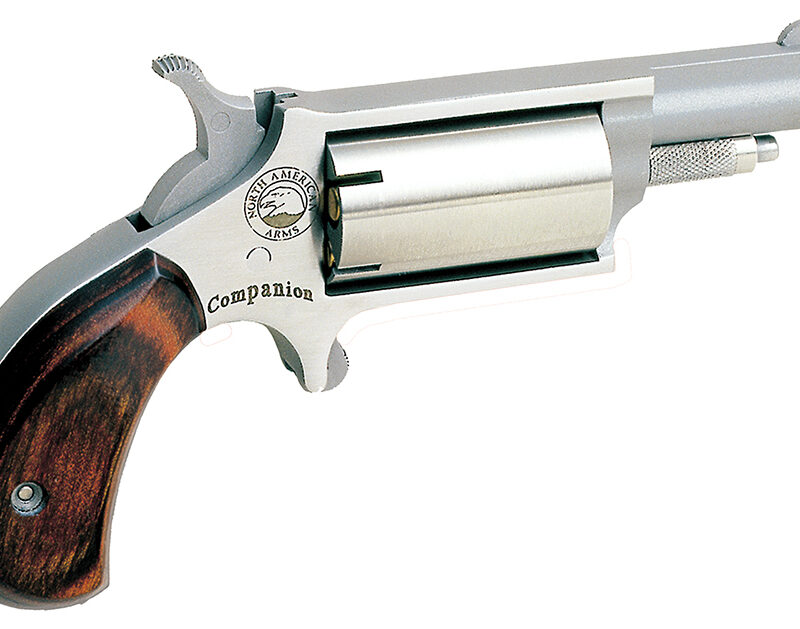 North American Arms 22MCB Companion  SAO 22 Cal #11 Percussion 1.63" 5 rd Stainless Steel Rosewood Birdshead Grip