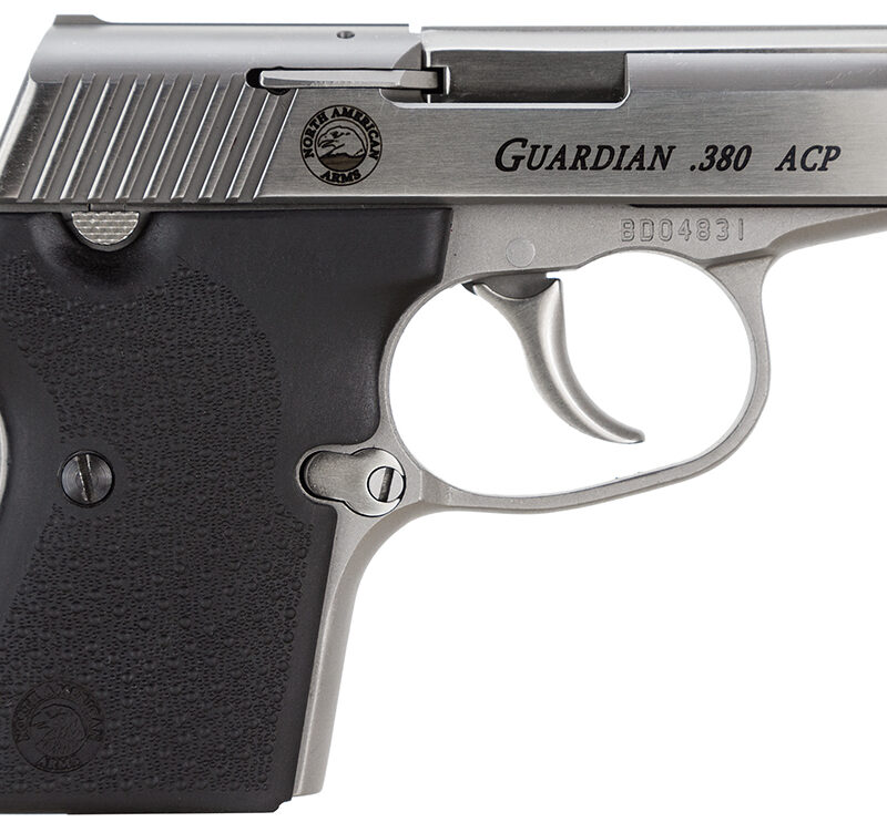North American Arms 380GUARDIAN Guardian  380 ACP Caliber with 2.50" Barrel, 6+1 Capacity, Overall Stainless Steel Finish, Serrated Slide & Black Rubber Grip