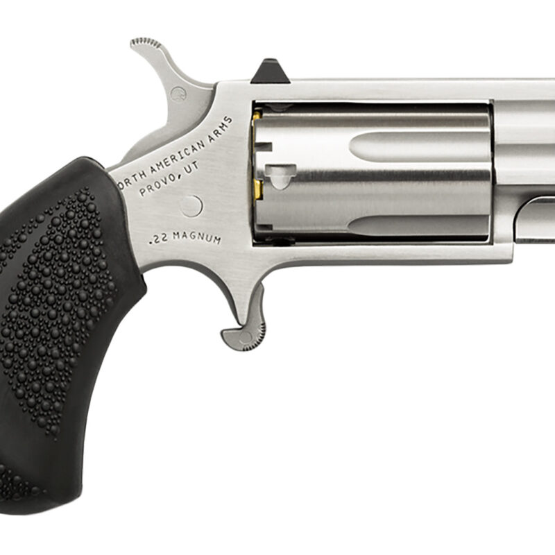 North American Arms PUGD Pug  22 WMR 5 rd 1" Barrel, Overall Stainless Steel Finish, Black Pebbled Texture Rubber Grip, XS White Dot Sight