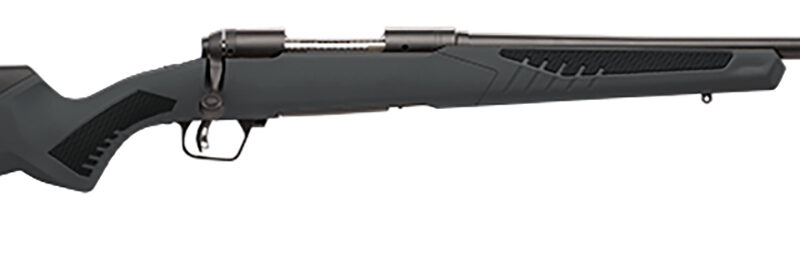 Savage Arms 57061 110 Hunter Full Size 223 Rem 4+1 22" Matte Black Button-Rifled Barrel, Matte Black Drilled & Tapped Carbon Steel Receiver, Adj AccuStock Matte Gray Synthetic Stock, Right Hand