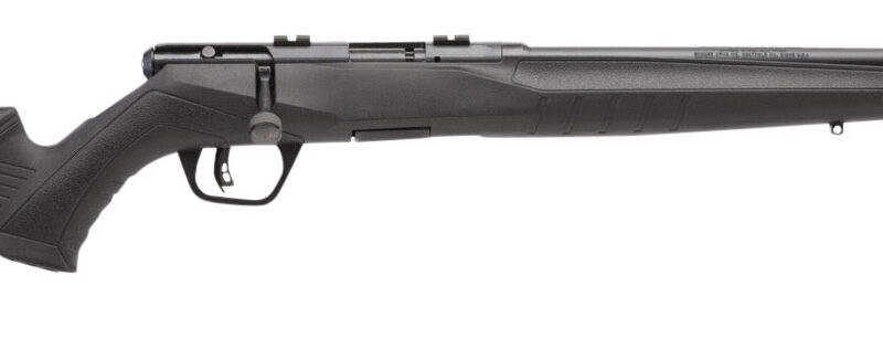 Savage Arms 70814 B17 F Compact 17 HMR 10+1 18" Matte Black Button Rifled Barrel, Matte Black Drilled & Tapped Carbon Steel Receiver, Matte Black Fixed Synthetic Stock, Right Hand