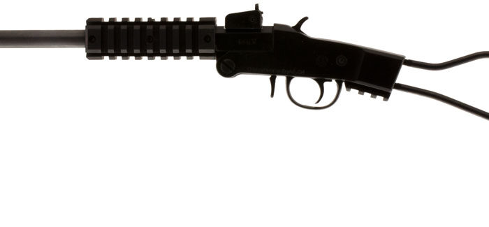Chiappa Firearms 500145 Little Badger  17 HMR 1rd, 16.50" Blued Steel Threaded Barrel/ Black Underfolding Stock, Right Hand