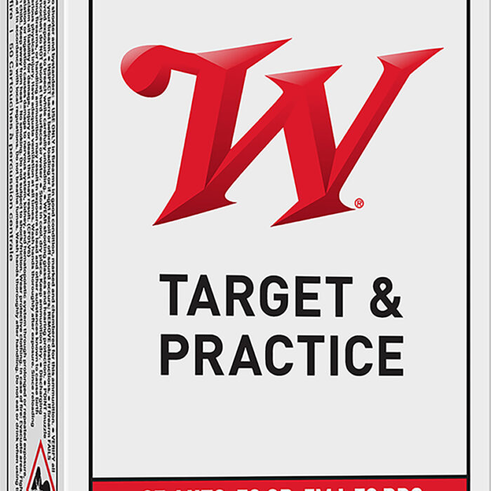 Winchester Ammo Q4203 USA  25ACP 50gr Full Metal Jacket 50 Per Box/10 Case
