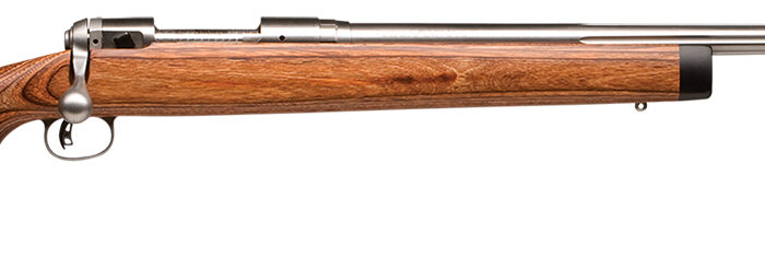 Savage Arms 01270 12 BVSS Full Size 22-250 Rem 4+1 26" Stainless Heavy Fluted Barrel, Matte Stainless Steel Receiver Drilled & Tapped ,Satin Brown Fixed Laminate Stock, Right Hand