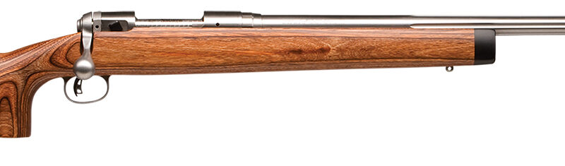 Savage Arms 01270 12 BVSS Full Size 22-250 Rem 4+1 26" Stainless Heavy Fluted Barrel, Matte Stainless Steel Receiver Drilled & Tapped ,Satin Brown Fixed Laminate Stock, Right Hand