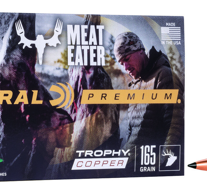 Federal P300WTC2 Premium  300WinMag 165gr Trophy Copper 20 Per Box/10 Case