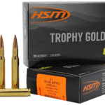 HSM 3006185VLD Trophy Gold Extended Range 30-06 Springfield 185 gr Berger Hunting VLD Match 20 Per Box/ 20 Case 1 82213