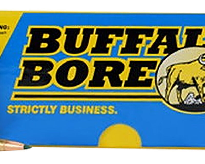 Buffalo Bore Ammunition S2235520 Sniper Strictly Business 223Rem 55gr Ballistic Tip 20 Per Box/12 Case