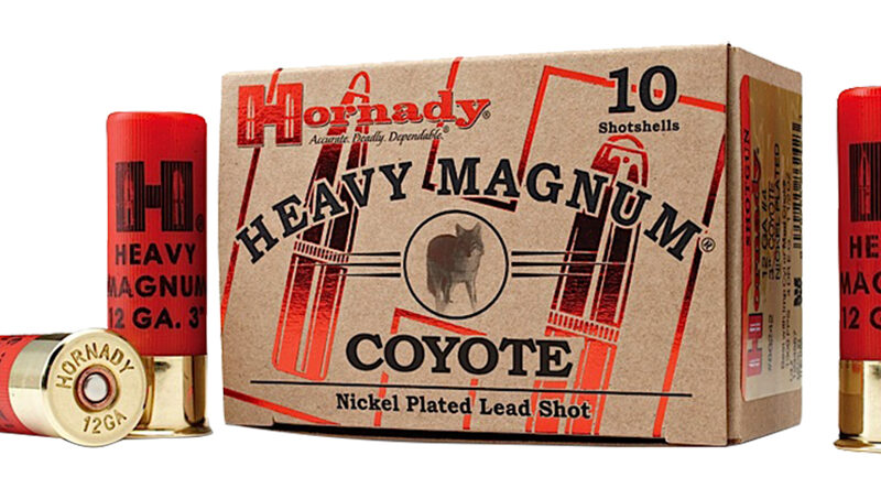 Hornady 86222 Heavy Magnum Coyote 12 Gauge 3" 1 1/2 oz BB Shot 10 Per Box/ 10 Case