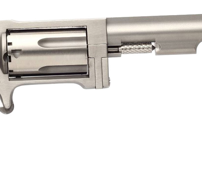 North American Arms SW4 Sidewinder *CA Compliant 22 WMR 5rd 4" Barrel, Overall Stainless Steel Finish & Rosewood Birdshead Grip