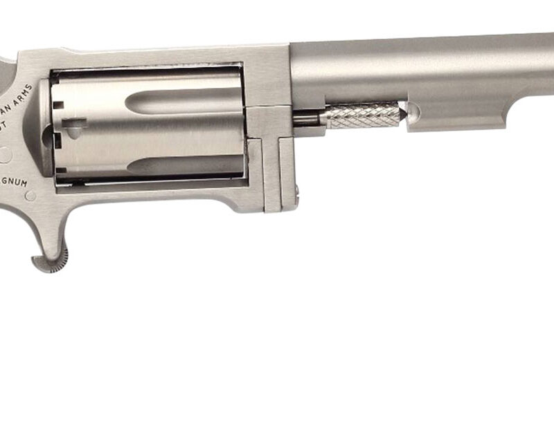 North American Arms SW4 Sidewinder *CA Compliant 22 WMR 5rd 4" Barrel, Overall Stainless Steel Finish & Rosewood Birdshead Grip