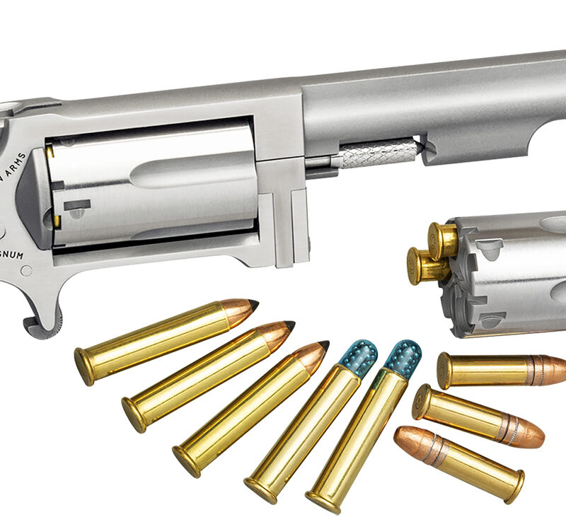 North American Arms SWC4 Sidewinder *CA Compliant 22 LR or 22 WMR 5rd 4" Barrel, Overall Stainless Steel Finish & Rosewood Birdshead Grip Includes Cylinder